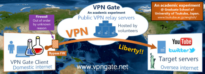 VPN კარიბჭის უფასო წვდომა